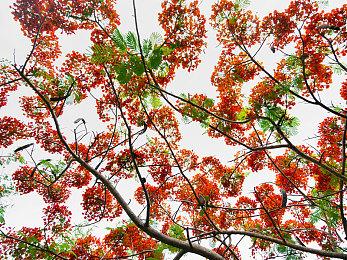 PS4PS5《战神：诸神黄昏》画面对比体验相差不多